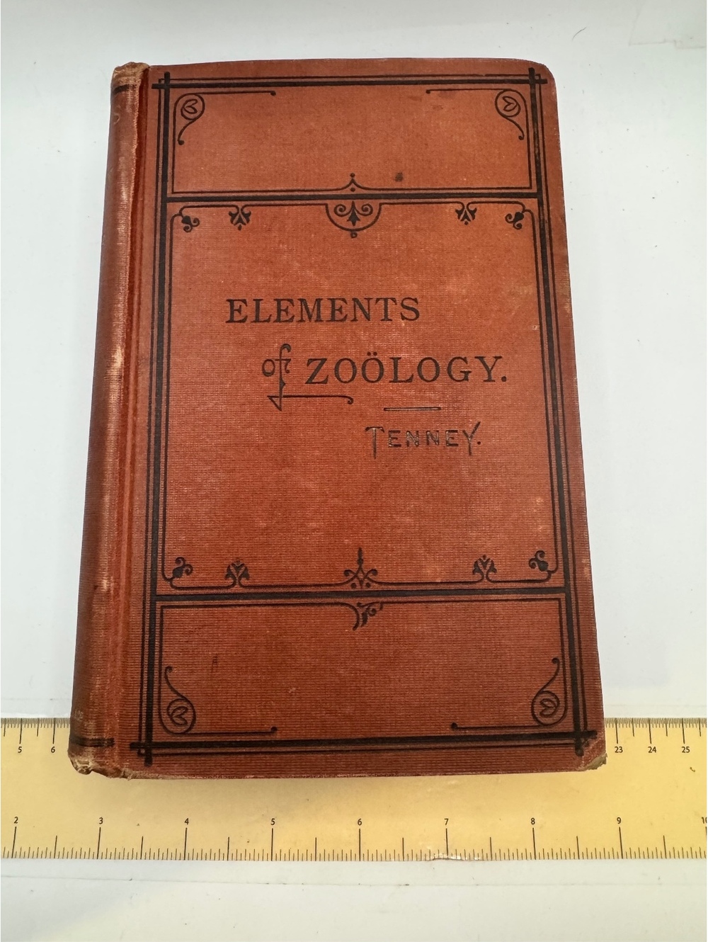 Elements of Zoology by Sanborn Tenney - Vintage 1875 Hardcover Textbook
